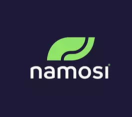 Custom logo design services 